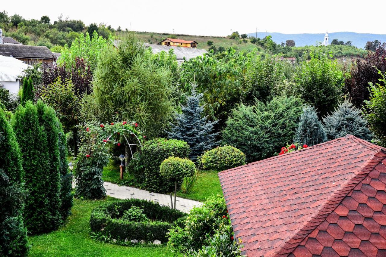 Casa Moteasca Ξενοδοχείο Mihai Viteazu  Εξωτερικό φωτογραφία