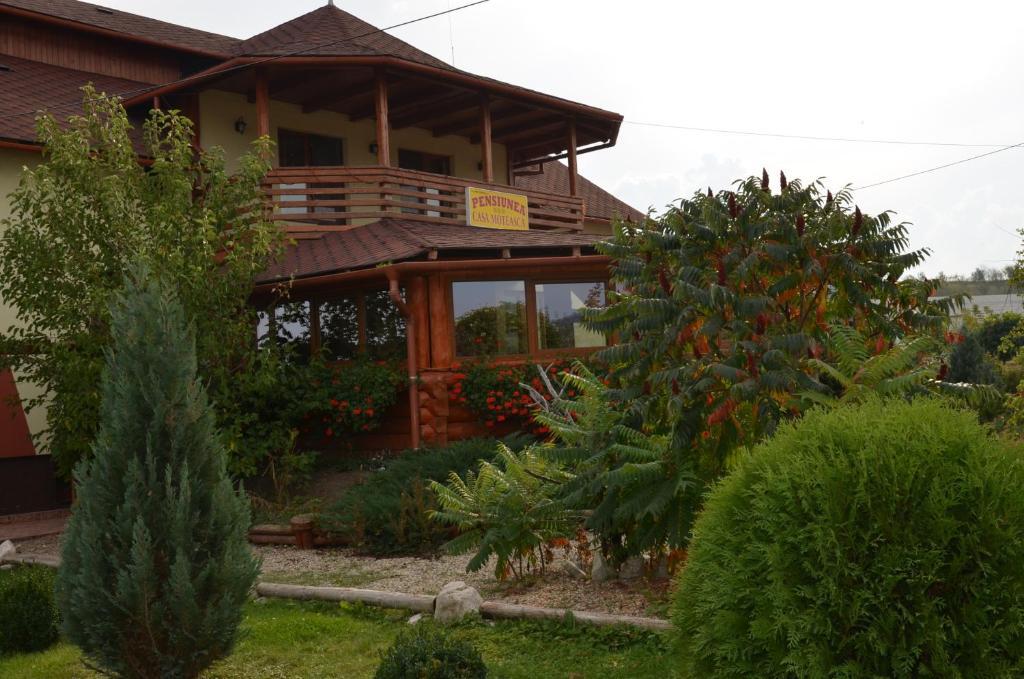 Casa Moteasca Ξενοδοχείο Mihai Viteazu  Εξωτερικό φωτογραφία